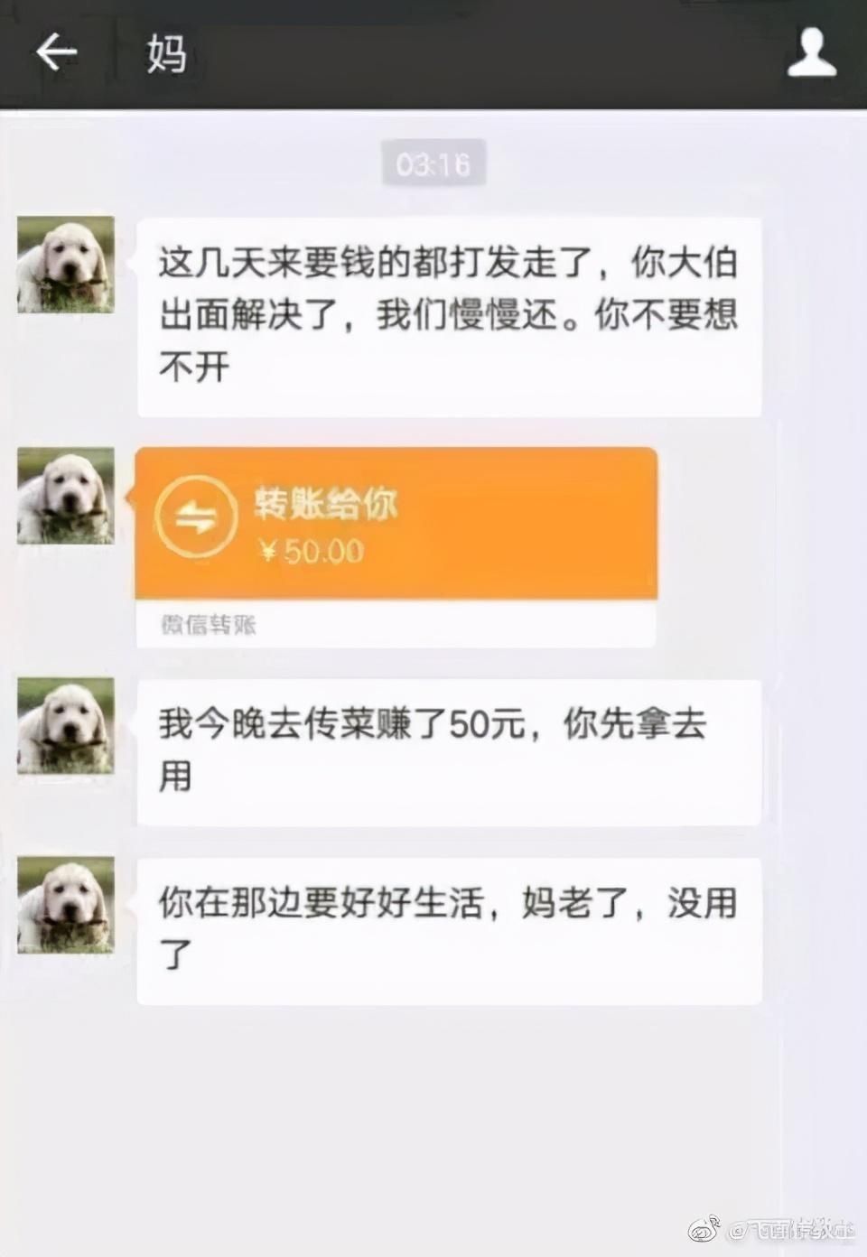 事件|“哥，咱家有钱了”令无数人破防，事件反转，发帖者道歉：我编的