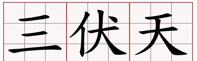 做好|2020三伏天“拍了拍”新会陈皮,柑六叔提醒你做好养生准备