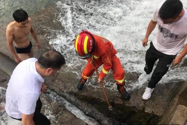  堤坝|温州13岁女孩在河道游泳不慎吸入堤坝排水管道处，现已不幸身亡