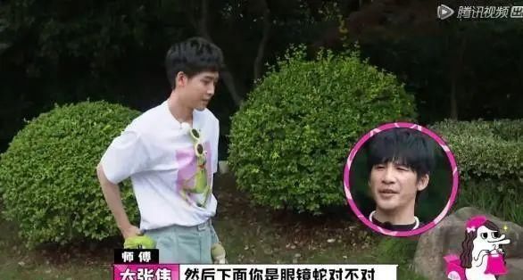  节目|内娱综艺咖是个什么情况？