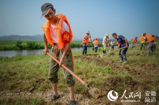 东方红|安庆一线直击：东方红圩，迎险而战