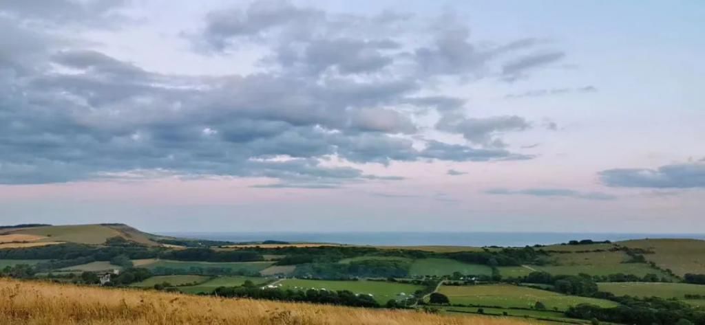  花路|治愈系综艺同款房车游，约你一起走花路！