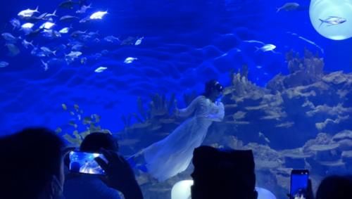 兼职|为赚钱给父母买月饼，95后律师国庆兼职“海底”嫦娥奔月表演