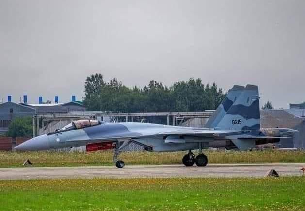 利比亚|局势已无可挽回！又一批苏35在北非现身，埃尔多安：这下麻烦了