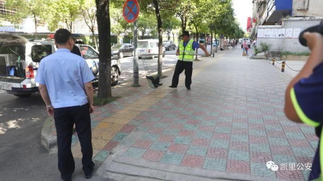 湾溪派出|曝光！凯里这些人的不文明行为