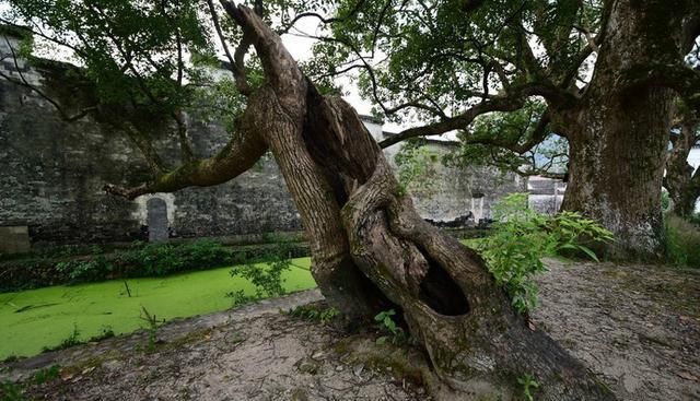 美的|一座融合生态人文之美的千年古镇——瑶里古镇