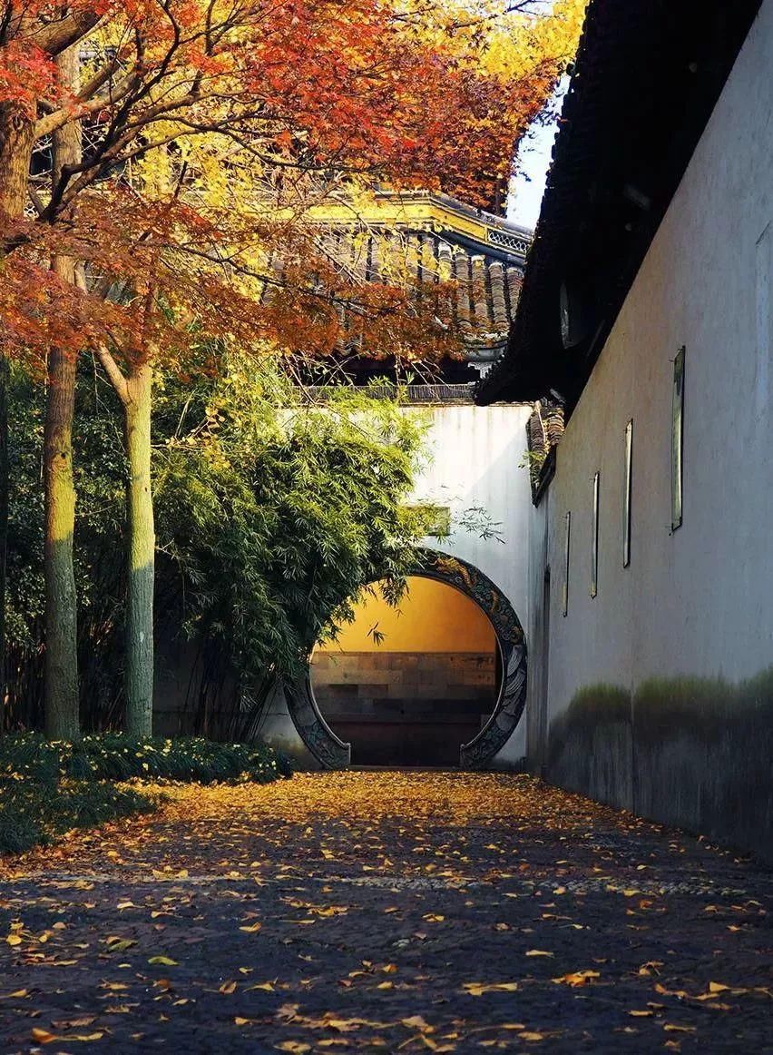  花园|有庭院的人，一定会懂生活