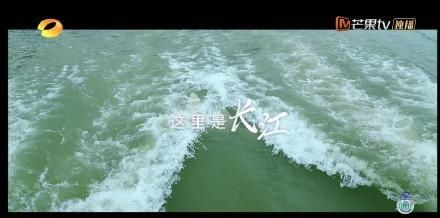  三峡大坝|《中餐厅4》首播收视夺冠！浩瀚长江尽显＂中＂式美学