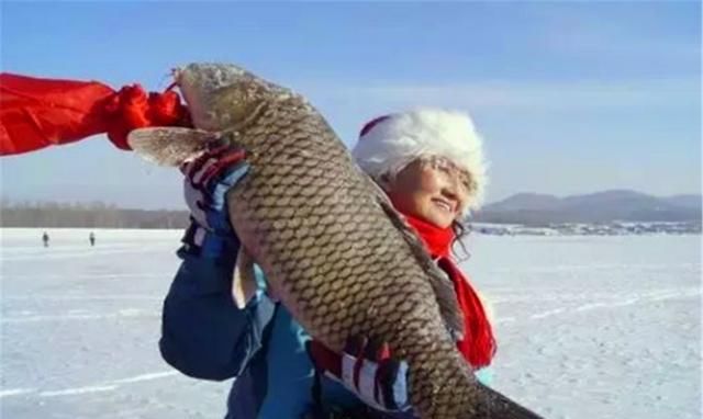 会下雪|俗语:大雪大雪不见雪,来年灭虫忙不撤,啥意思?老人的经验之谈