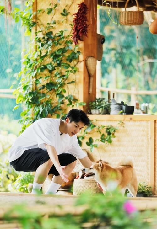  参加|《向往的生活》玩砸了？许光汉这一趟，挺让人“意外”的