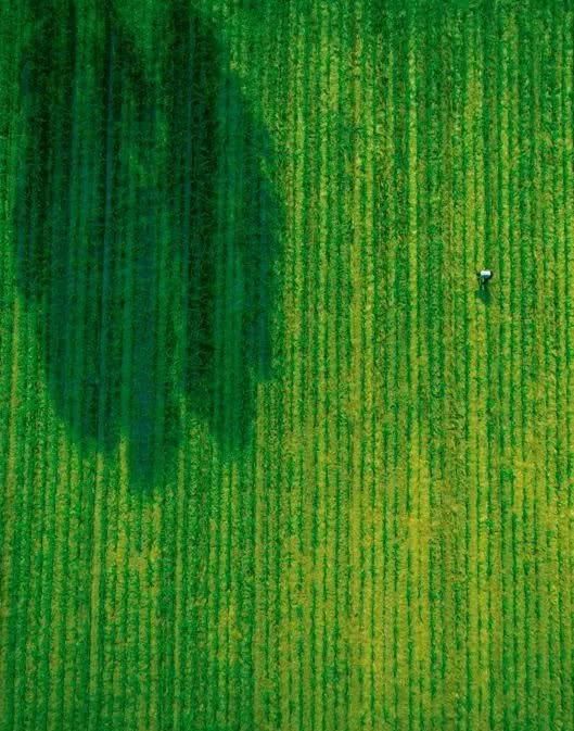  太行山|深远传奇的五千年山西“必游”之路