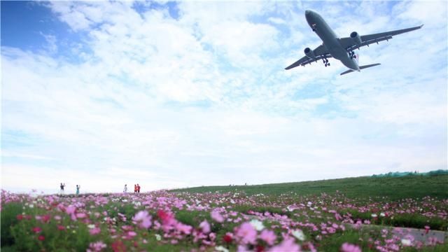 落户|重磅！熊猫国际家园项目将落户成都双流“空港花田”