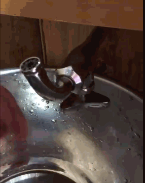 GIF|搞笑GIF:上学期间,我也这么干过