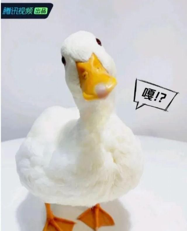  别尬|《认真的嘎嘎们》：别尬笑了，中国喜剧人