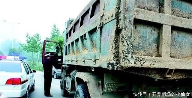 晚上|为何渣土车晚上敢随便闯红灯,得知真相后,令主人气氛不已!