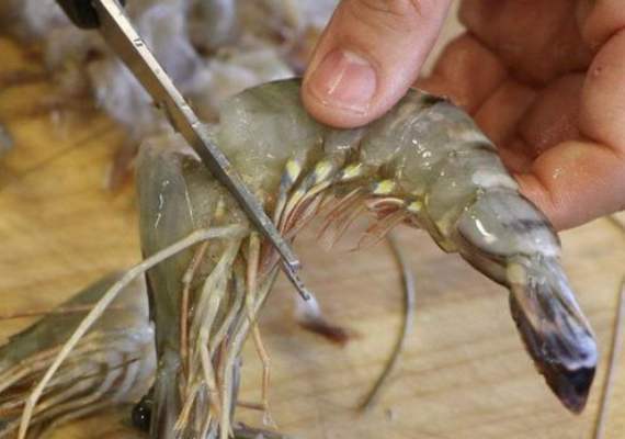  到底|煮虾时，到底需要去虾线吗大厨告诉你正确答案，别再瞎弄了