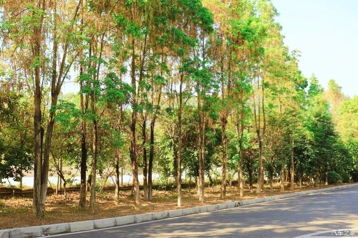  铠的|不论前路，勇于前行，途铠的用车体验及外观内饰细节分享！