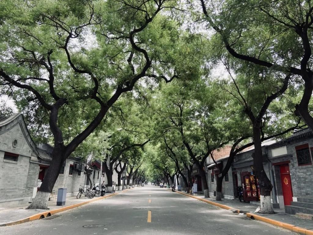  紫禁城|一个人的紫禁城马拉松