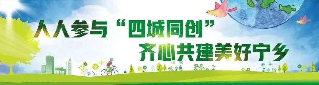 城市|占道、毁绿行为零容忍“捐赠箱”也不例外
