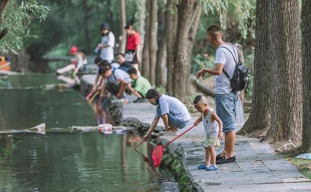  带走多少|无限量捞鱼还能免费全带走！这个暑假太行山自驾游，带娃去虎山