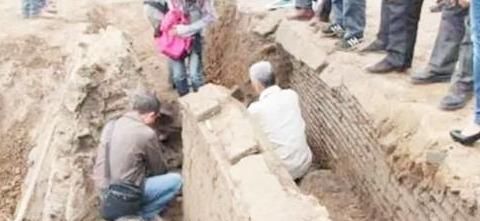  盖新房|父子翻盖新房挖出一只“猪”，主动上交，考古学家：全球仅此一头