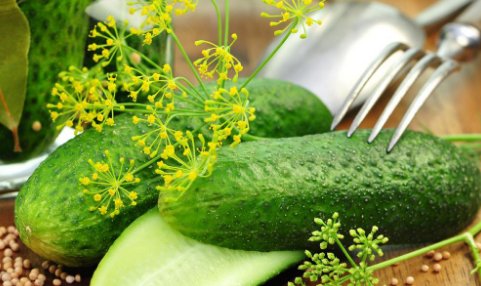  适合|夏季防止一些食物变质都会放进冰箱里，但这些食物不适合放冰箱！