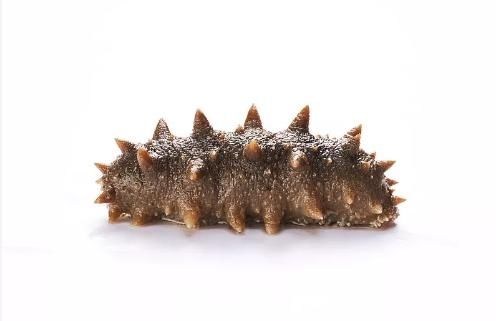  大连|大连一90后女子冒充熟人到处作案，还顺走海参