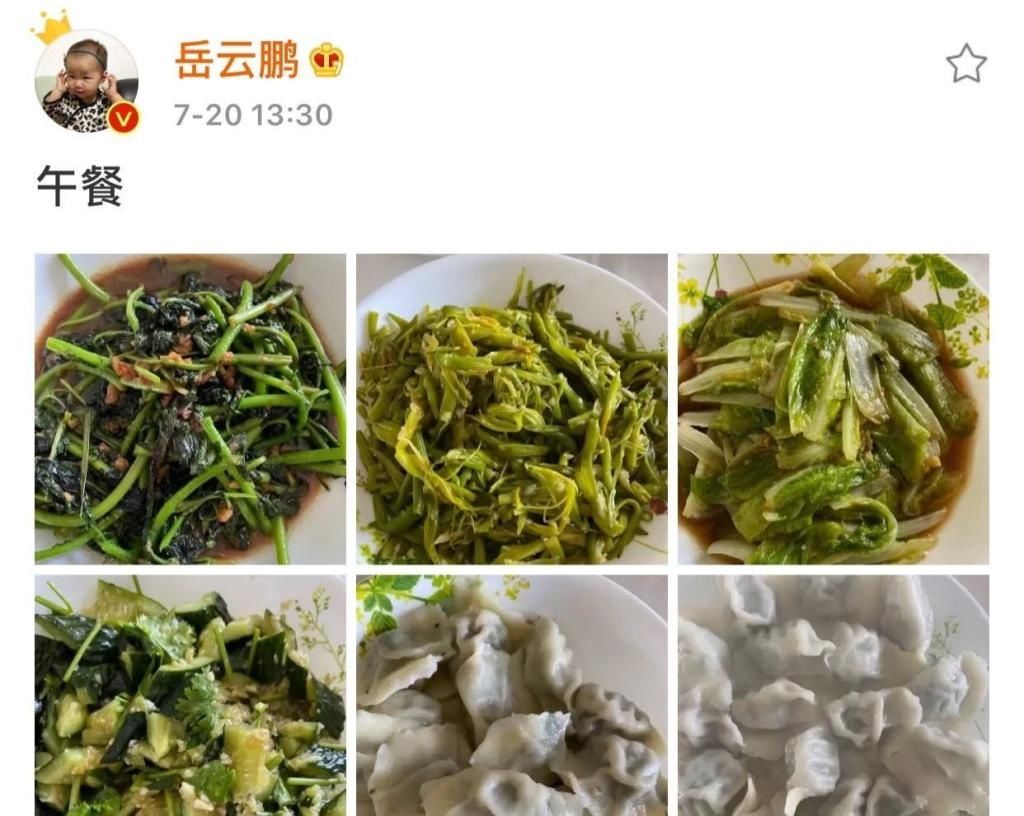 爆笑|岳云鹏晒出了午餐，最爱吃的饺子成了配角，评论区留言让人爆笑