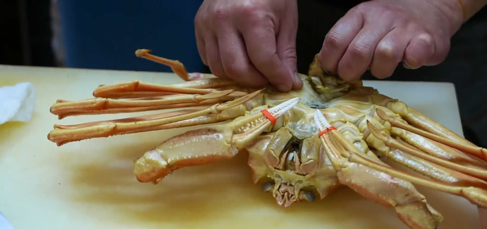 蟹黄|花150元买的一只螃蟹,真肥,还以为赚到,煮后掰开没勇气下嘴