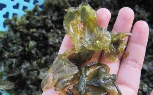  木耳|黑木耳绝不是颜色越黑越好，这样的木耳千万别买，小心中毒！