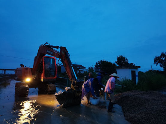 防汛|庐江县泥河镇：雨夜十二小时，防汛抢险刻不容缓