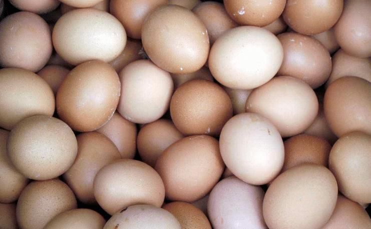 超市|去超市买鸡蛋，选白壳还是红壳好？超市员工说漏嘴，别再买错了