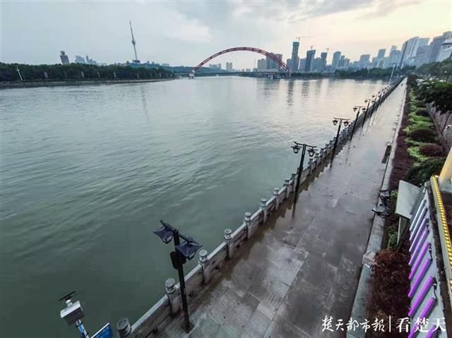  龙王庙|洪水回落，汉口龙王庙观景大道已清淤