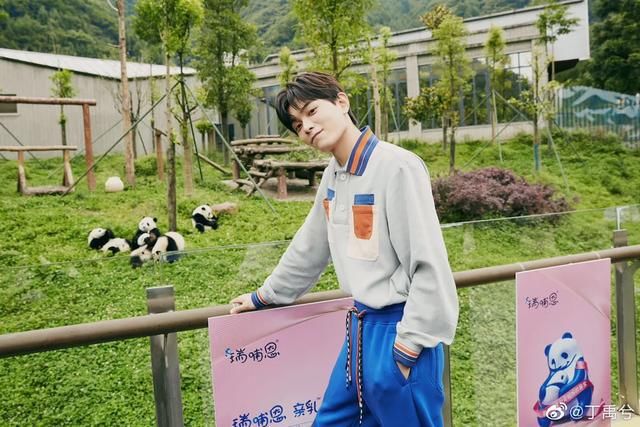  金晨|鹿晗、王一博、张新成、丁禹兮、金晨