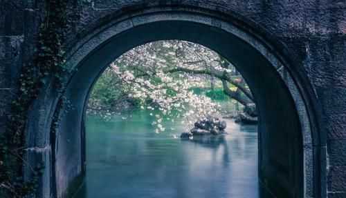  杭州|去了杭州才知道，这才叫生活