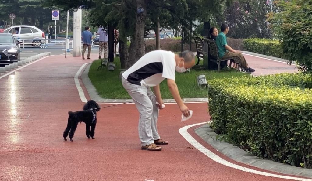 整治|组图——不文明养犬整治见效快，记者拍照拍出欣慰感