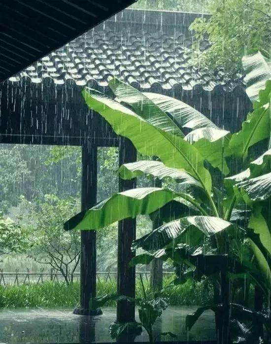  花园|有庭院的人，一定会懂生活