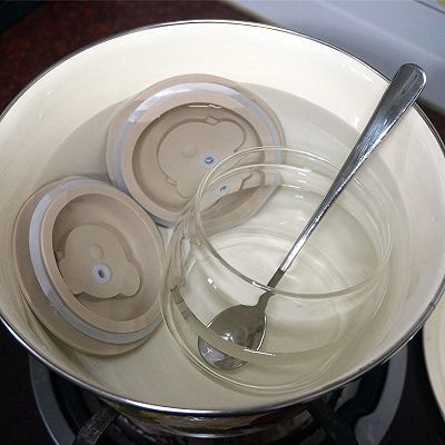  酸奶菌粉|杂锦水果谷物酸奶