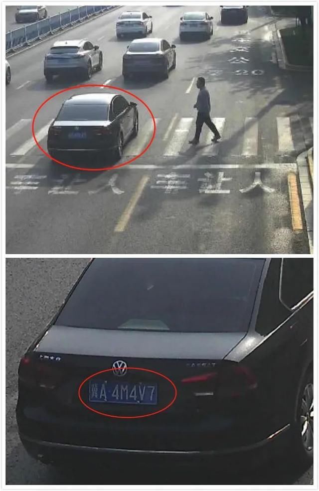 画面|石家庄最新行人、驾驶人曝光画面！快看有你认识的吗？