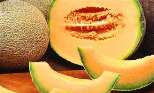 哈密瓜|康熙400年前叫错一水果名，误导国人至今，如今你的叫法也错了？