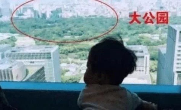  别墅|他是跑男中最低调的富豪，和王思聪做邻居，豪宅曝光不输李晨迪拜上亿别墅