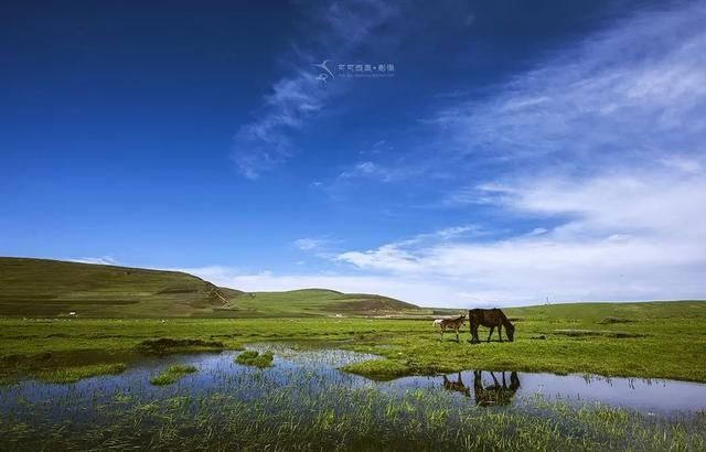  定西市文|官微互动丨到定西过一个只有20℃的夏天吧！