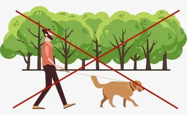 市民|事发狐尾山公园！一男一女“禁区”遛狗不听劝还打人！警方已介入调查