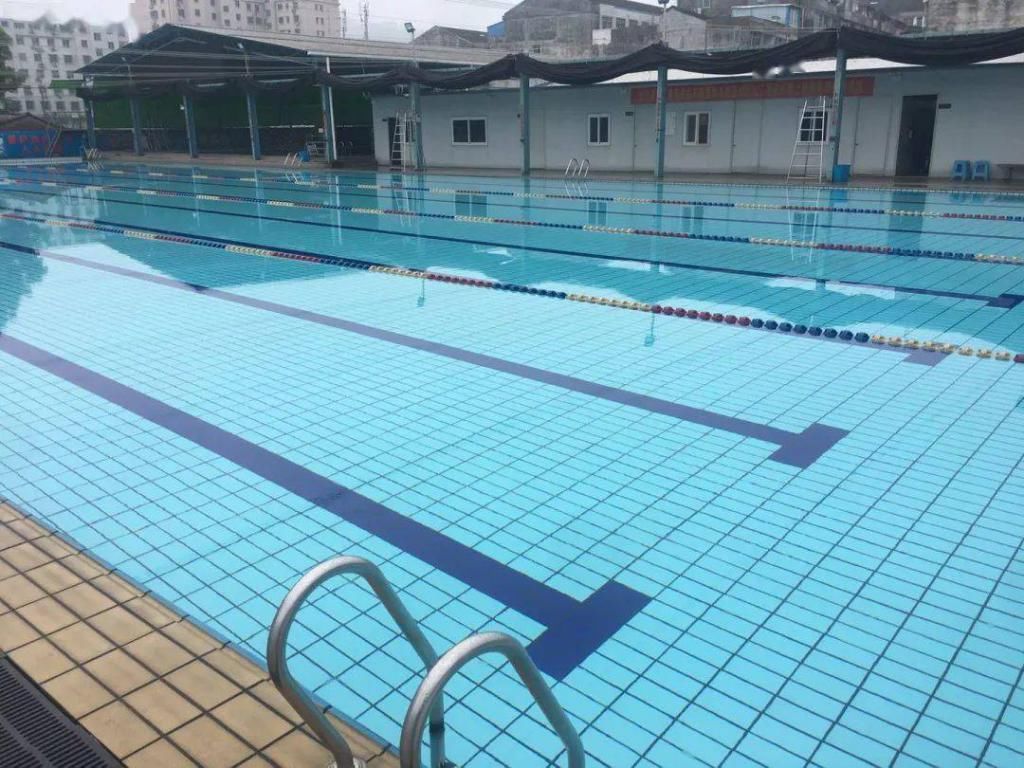  游泳池|不游泳，不夏天！苍南县各游泳池（馆）大盘点！