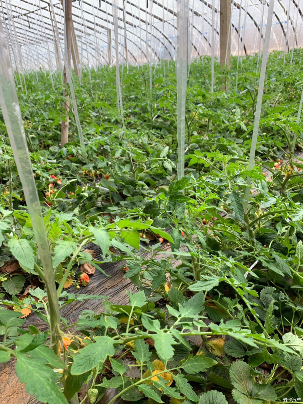  解释|【我们都过了解释的年纪】新的起点，出发吧