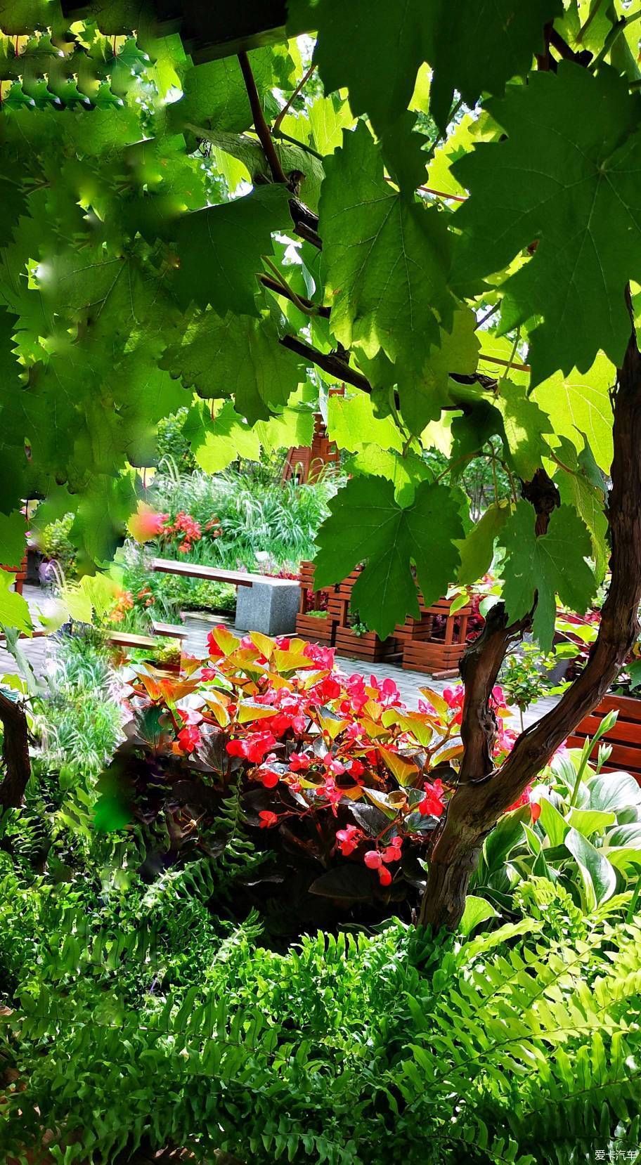  博物馆|游览中国园林博物馆