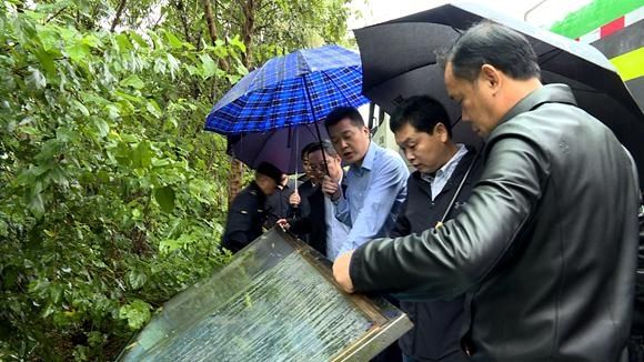 调度|杨智勇调度省生态环保督察反馈问题相关工作