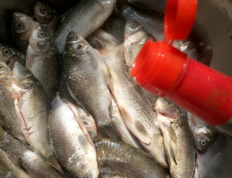 错粉|炸小鱼,应该裹面粉还是裹淀粉?很多人用错粉,难怪口感不够酥脆