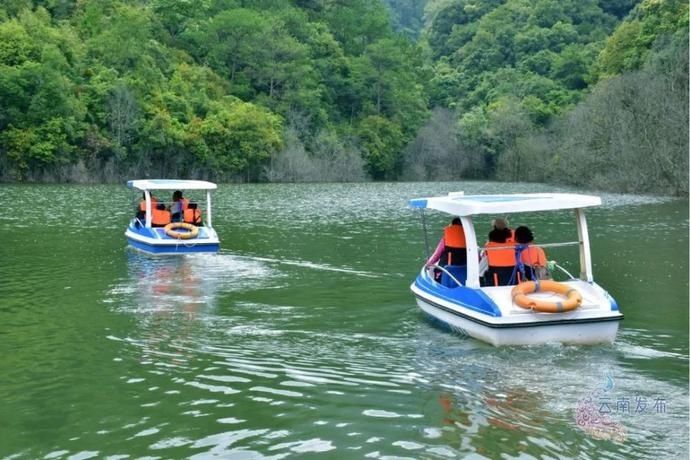 普洱|一天一点普洱穿行千年茶马古道,尽览五朝普洱风云