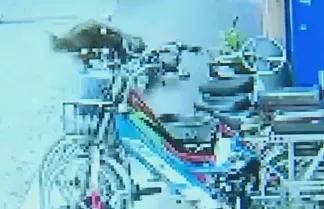  近期|警惕！近期高发，有医院一天接诊119人